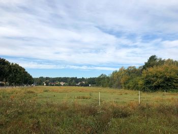 Scenic view of field against sky