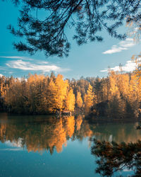 Reflection of trees in lake against sky during autumn