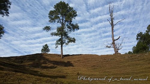 Scenic view of landscape against cloudy sky