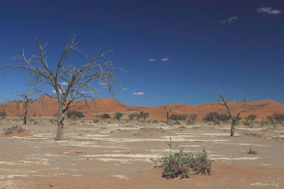 Scenic view of desert against sky