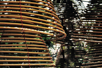 Close-up of spiral incense