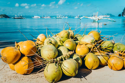 Close-up of fruits in sea against sky