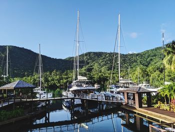 Sailboats moored at harbor against sky