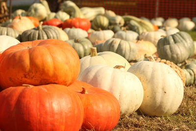 Close-up of pumpkins for sale at market