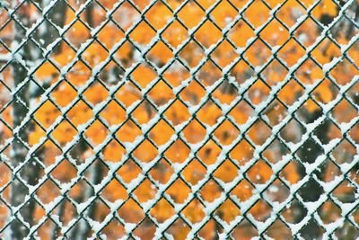 Chain-link fence covered in snow in fall colors