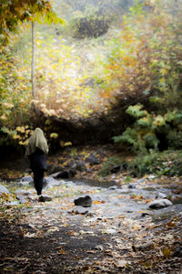 Rear view of woman walking on road in forest