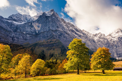 Trees on mountain against sky during autumn