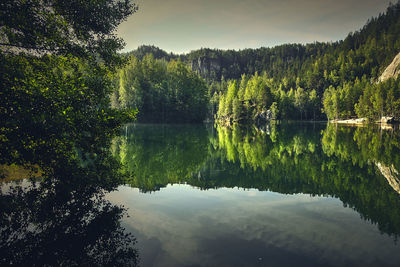 Scenic view of lake by trees against sky