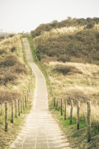 Narrow footpath leading towards steps on grassy hill