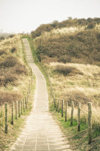 Boardwalk amidst field against clear sky
