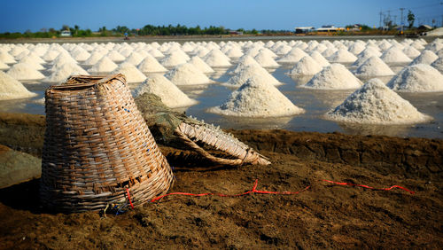 Sea salt fields local farm industry in thailand.