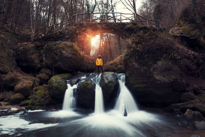 Scenic view of waterfall against trees