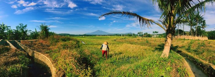 Panoramic view of farmer working on field against sky