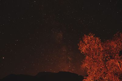 Low angle view of sky at night