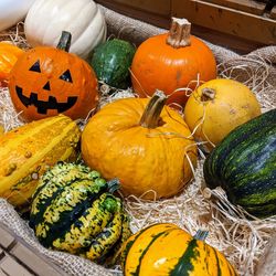 High angle view of pumpkins for sale