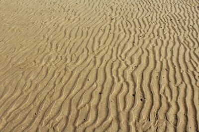 Full frame shot of sand