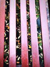 Full frame shot of multi colored wooden bench