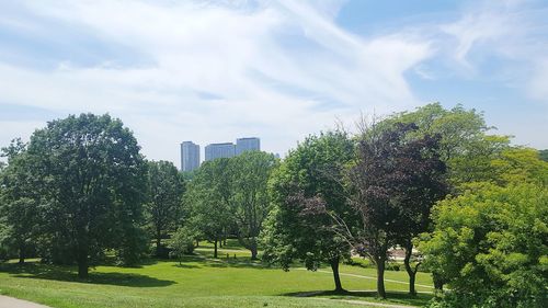 Trees in park against sky