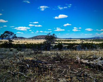 Scenic view of landscape against cloudy sky