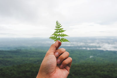 Cropped hand holding plant against sky