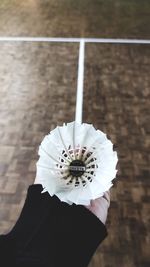 High angle view of person hand on white wall