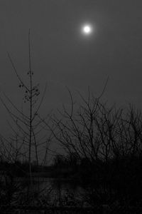 Silhouette bare tree against sky at night