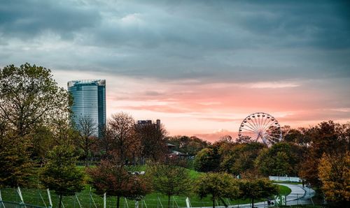 Trees in city against sky during sunset