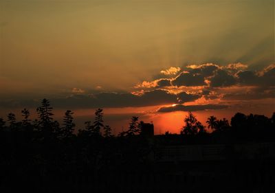 Silhouette plants against dramatic sky during sunset