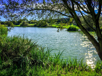 Scenic view of lake against sky