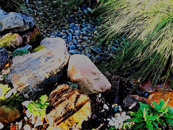 Close-up of rock in water