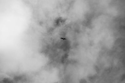 Low angle view of airplane flying in sky