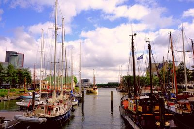 Sailboats moored at harbor