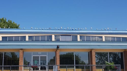 Low angle view of building against clear blue sky