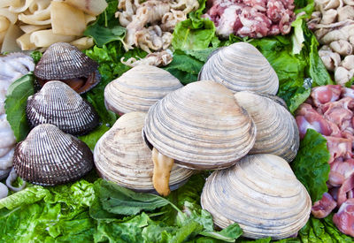 Shellfood is a staple in the korean diet.