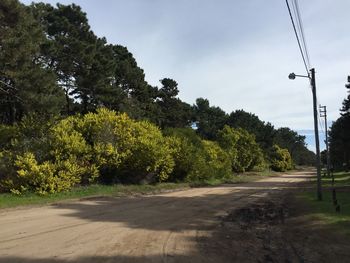 Road by trees against sky