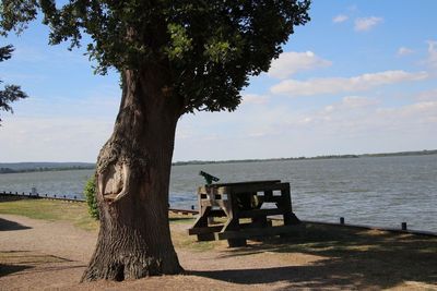 Bench on tree by sea against sky