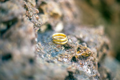 Close-up of rings on rock