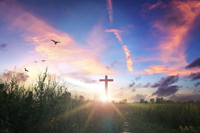 Scenic view of field against sky during sunset