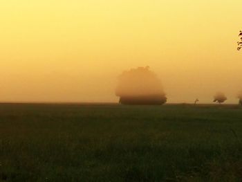 Scenic view of field against sky during sunset