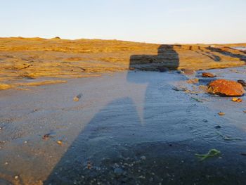 Surface level of rocks on shore against sky