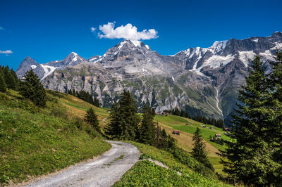 View from northface trail at schiltalp and gimmeln area, mürren, switzerland