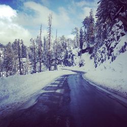 Road amidst trees against sky during winter