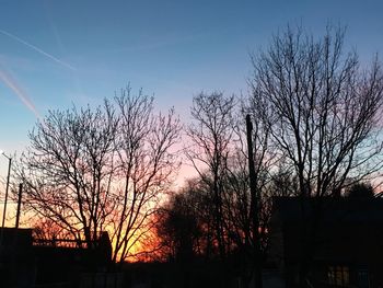 Silhouette trees against sky during sunset