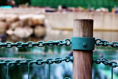 Close-up of fence