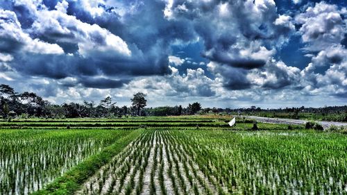 Scenic view of field against cloudy sky