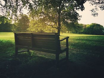 Empty bench on grassy field