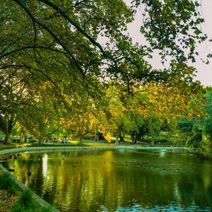 Scenic view of lake during autumn
