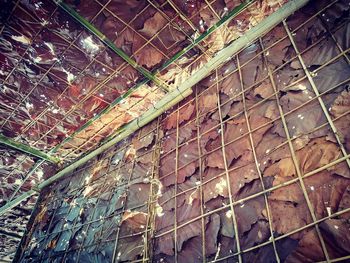 Low angle view of illuminated lights