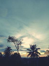 Silhouette of palm trees against sunset sky