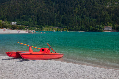 Boat moored on sea by trees